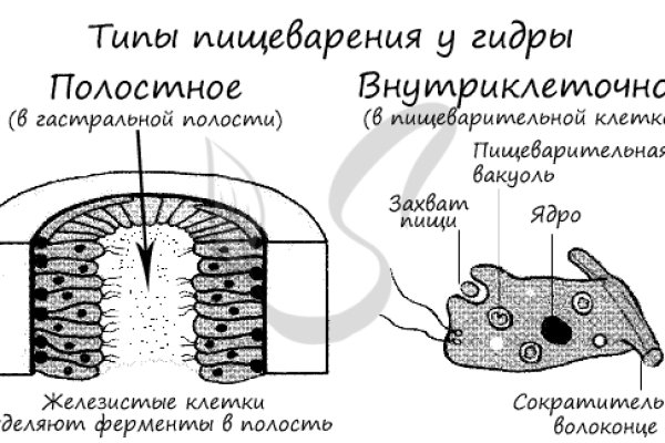 Кракен официальный сайт