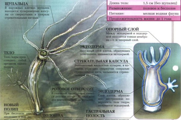 Купить наркотики москва